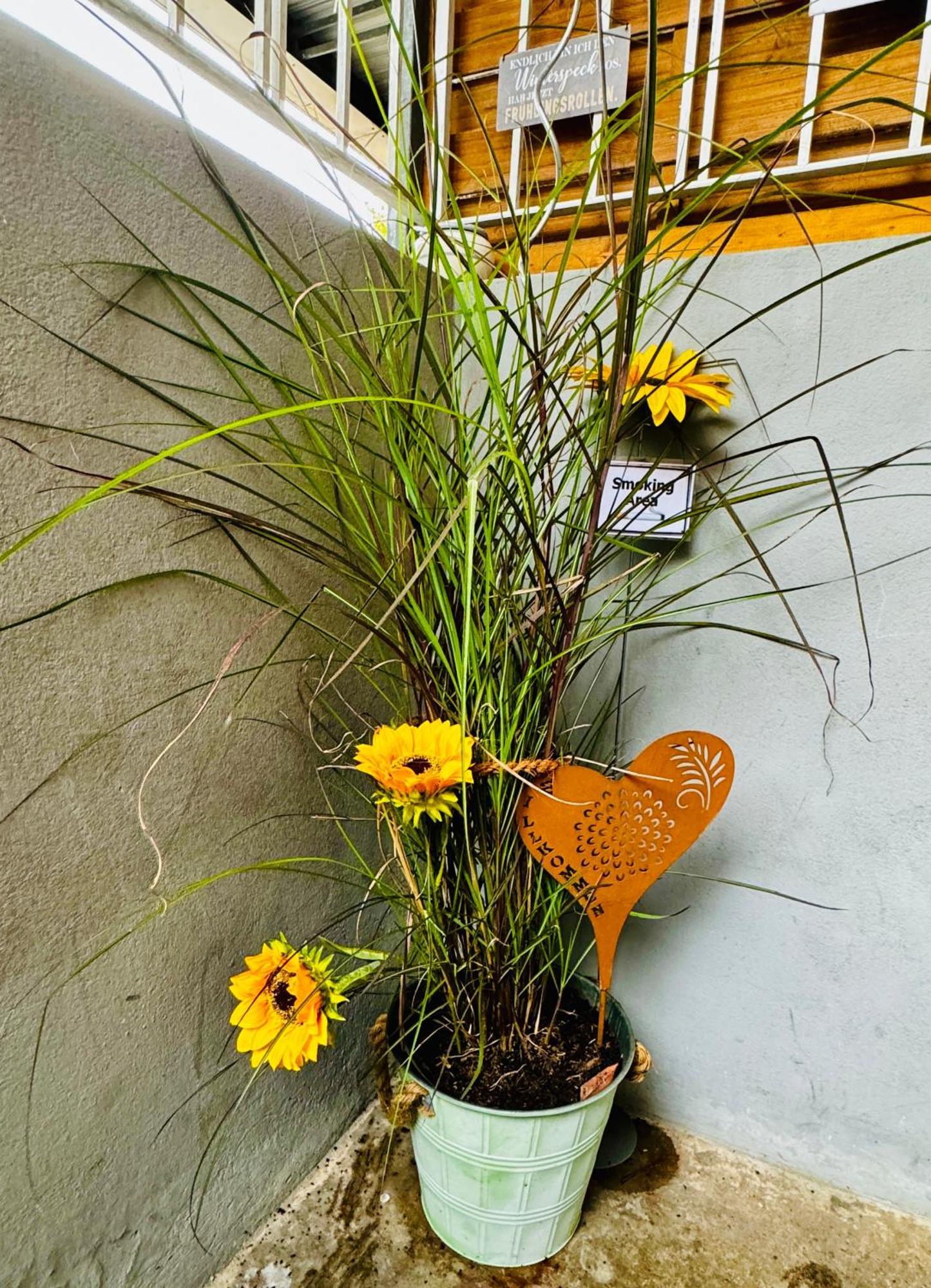 Tulip Path 3, Ferien & Monteur Wohnung Melle Zewnętrze zdjęcie